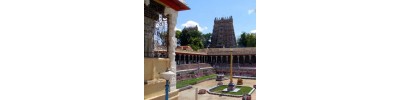 மதுரை - தமிழ்நாடு
